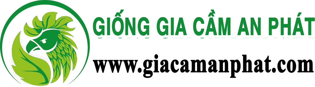 Công Ty TNHH Giống Gia Cầm An Phát